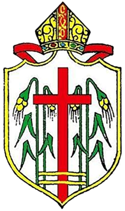 CSI Tirunelveli Diocese Logo